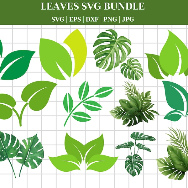 LEAF SVG Bundle, LEAVES Svg Bundle, Leaf Clipart, Leaf Svg cut files for Cricut, Branch Svg, Twig svg