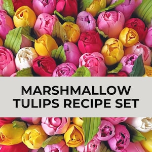 Marshmallow Tulips recipe set| recipe tutorial for Russian XL nozzles | zefir flowers