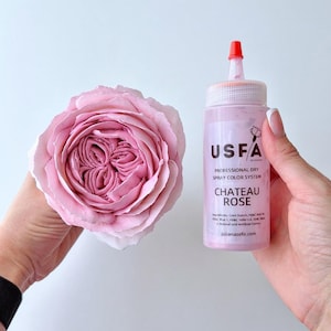 Puede incluir: Una gran rosa rosa pálido junto a una botella del sistema de color en spray seco profesional Chateau Rose. La botella tiene una punta roja y el texto "USFA ACADEMY" y "julianazefir.com".