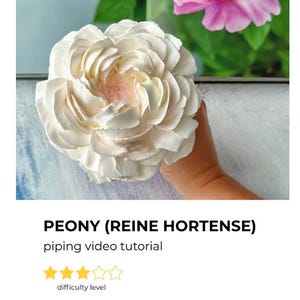 Tecnica di decorazione con la peonia Zefir 'Reine Hortense' / Video tutorial su come realizzare una bellissima peonia commestibile con punte di pasta sfoglia
