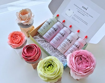 Elegance Palette Dry Spray Color System - Zefir Spritzblumen Backdekoration (5er Set)