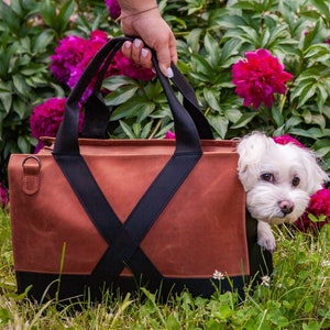 Pin on Pet Purses in the News!