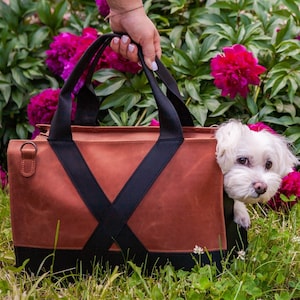 Dog tote store