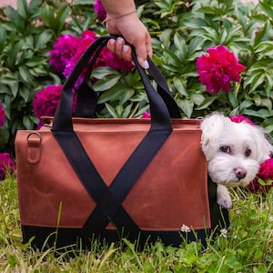 Betop Fashion Dog Carrier PU Leather Dog Handbag Dog Purse Cat Tote Bag Pet Cat Dog Hiking Bag, Brown, Small 38*23*17cm