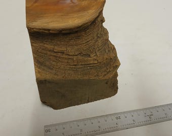 Irish Bog Pine Wood Burl Piece (4x5x2'') Jewelry Making