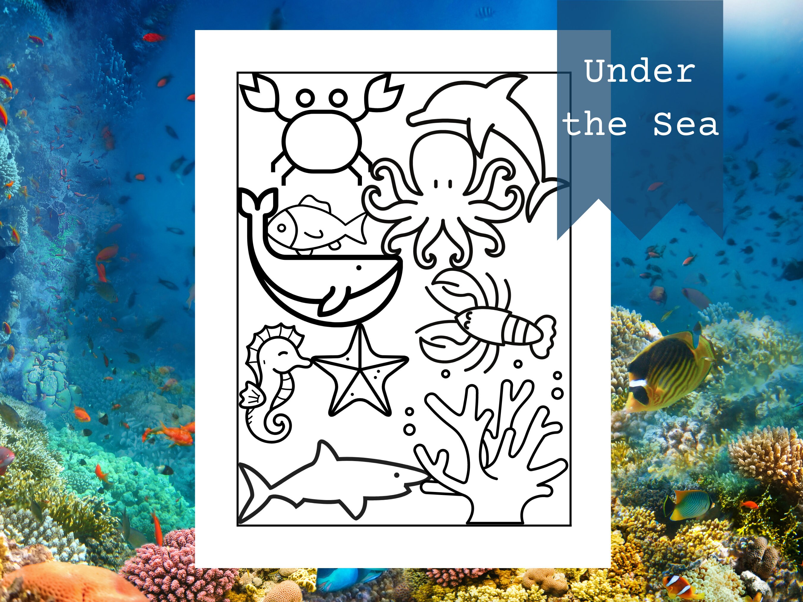 Animal Coloring Page Variety Pack Bundle Instant Download - Etsy