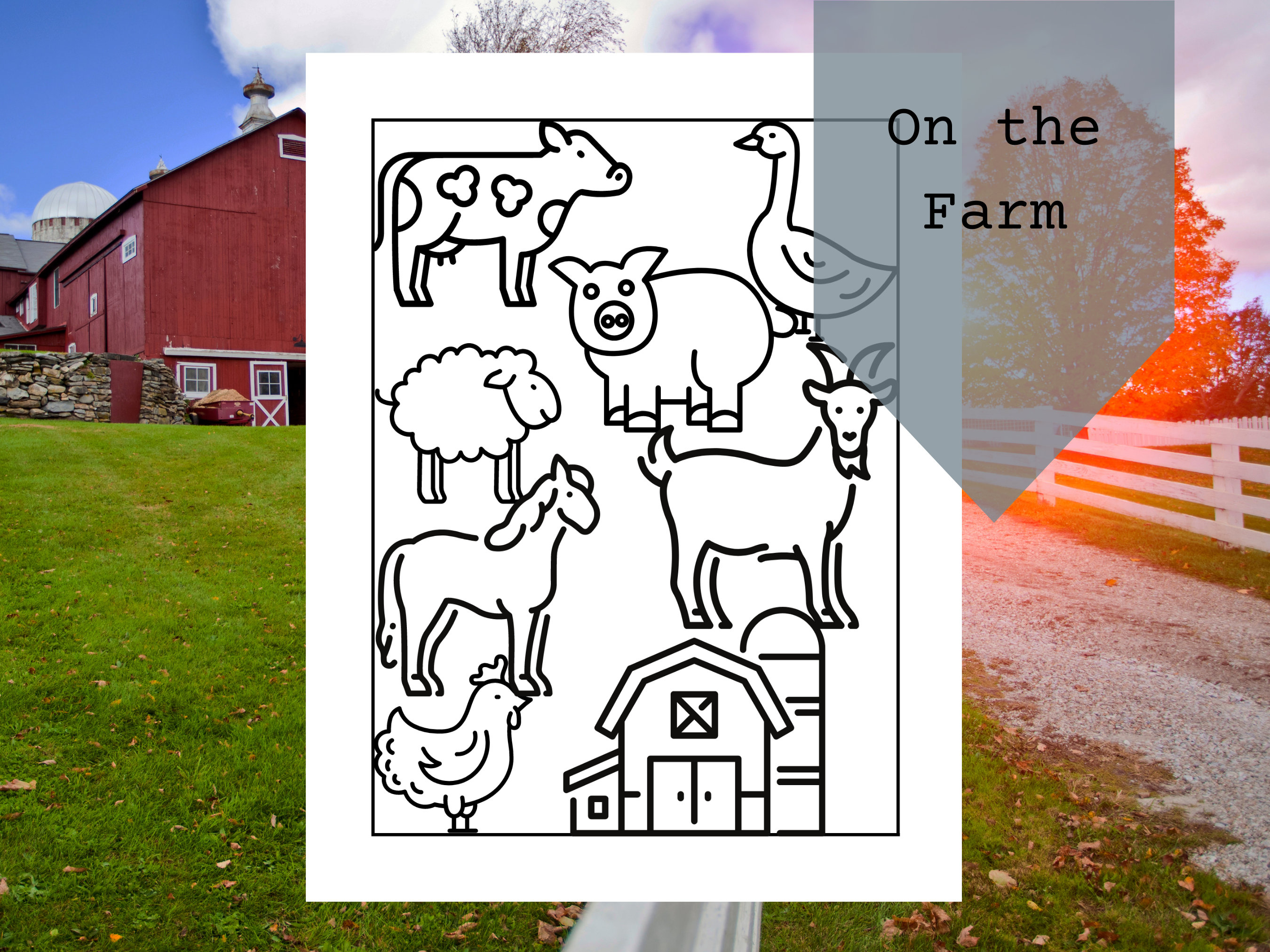 Animal Coloring Page Variety Pack Bundle Instant Download Etsy