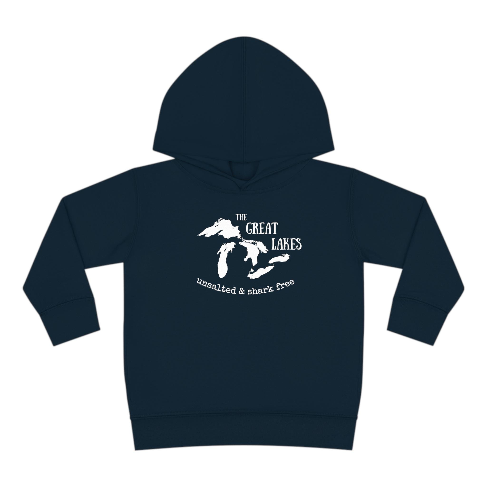 Unsalted & Shark Free Sweatshirt, Great Lakes Sweater, Lake Michigan Sweatshirt, Lake Life Sweater, Toddler Great Lakes Sweatshirt