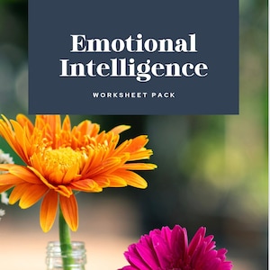 Emotional Intelligence Worksheet Pack-(5 worksheets and coach instructions)