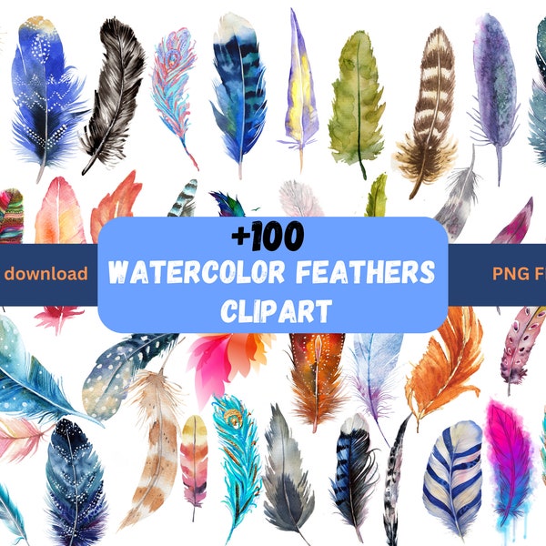 Watercolor Feathers Clipart, hand painted feathers PNG, Birds Feather Instant Download