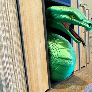 Snake Book Nook