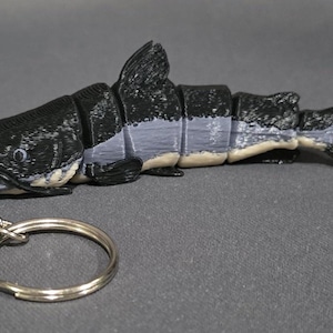 May include: A segmented, articulated fish keychain featuring a black dorsal side, a grey midsection, and a light beige underbelly. The fish has a detailed head with visible whiskers and is attached to a standard circular silver metal split ring.