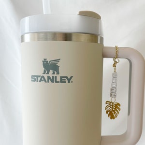 10 Unique and Fun Stanley Cup Accessories