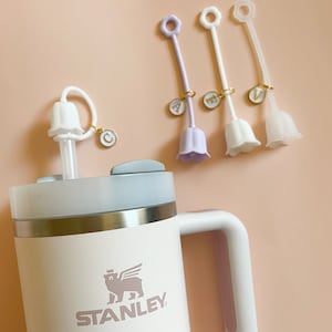 Stanley Straw Covers - 16Pcs Straw Covers Cap for Stanley Cup Simple 40oz  Hydrapeak 40oz Tumbler, Reusable Dust-Proof Soft Silicone Straw Cover, for