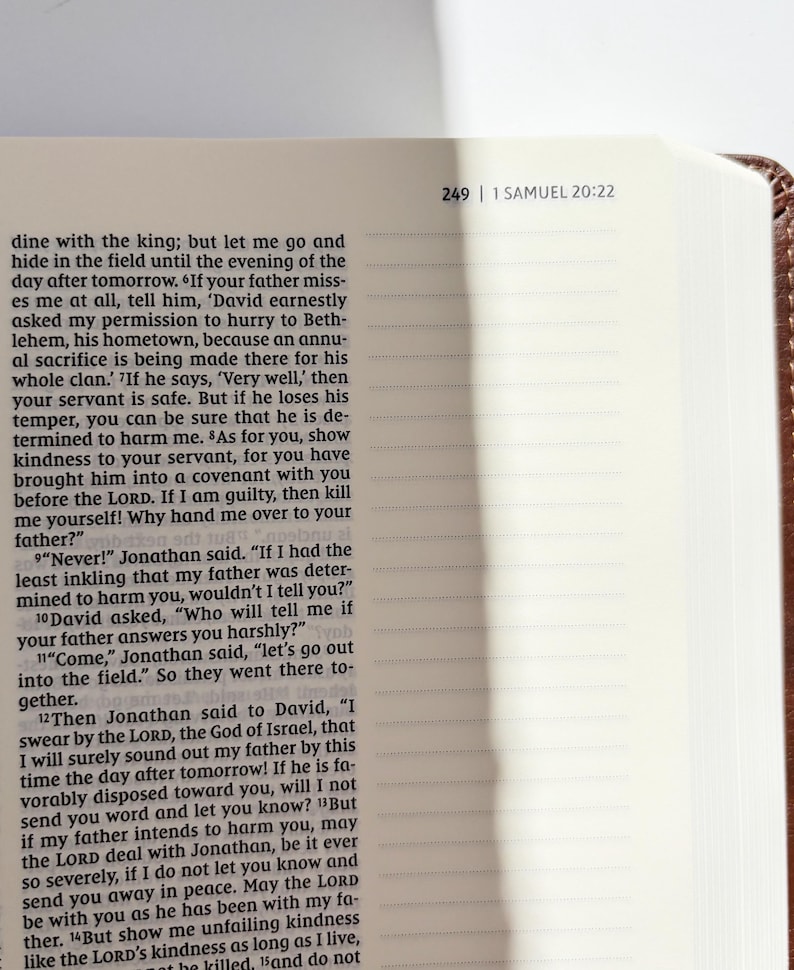 May include: Open Bible with text from 1 Samuel 20:22, page 249. The pages are cream-colored with black text. The binding is brown. The text is in English.