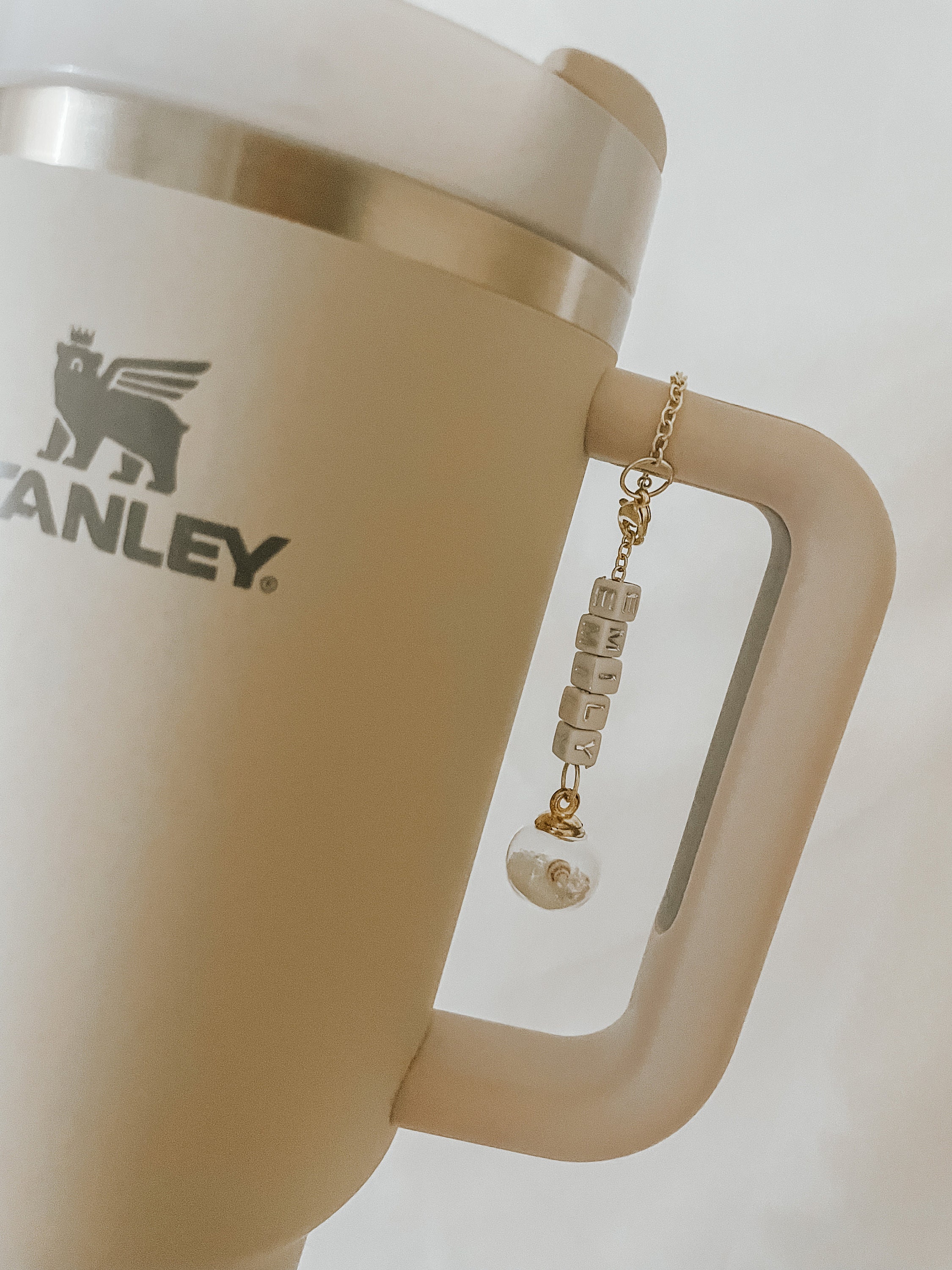 Stanley Tumbler Cup Charm Accessories for Water Bottle Stanley -  in  2023