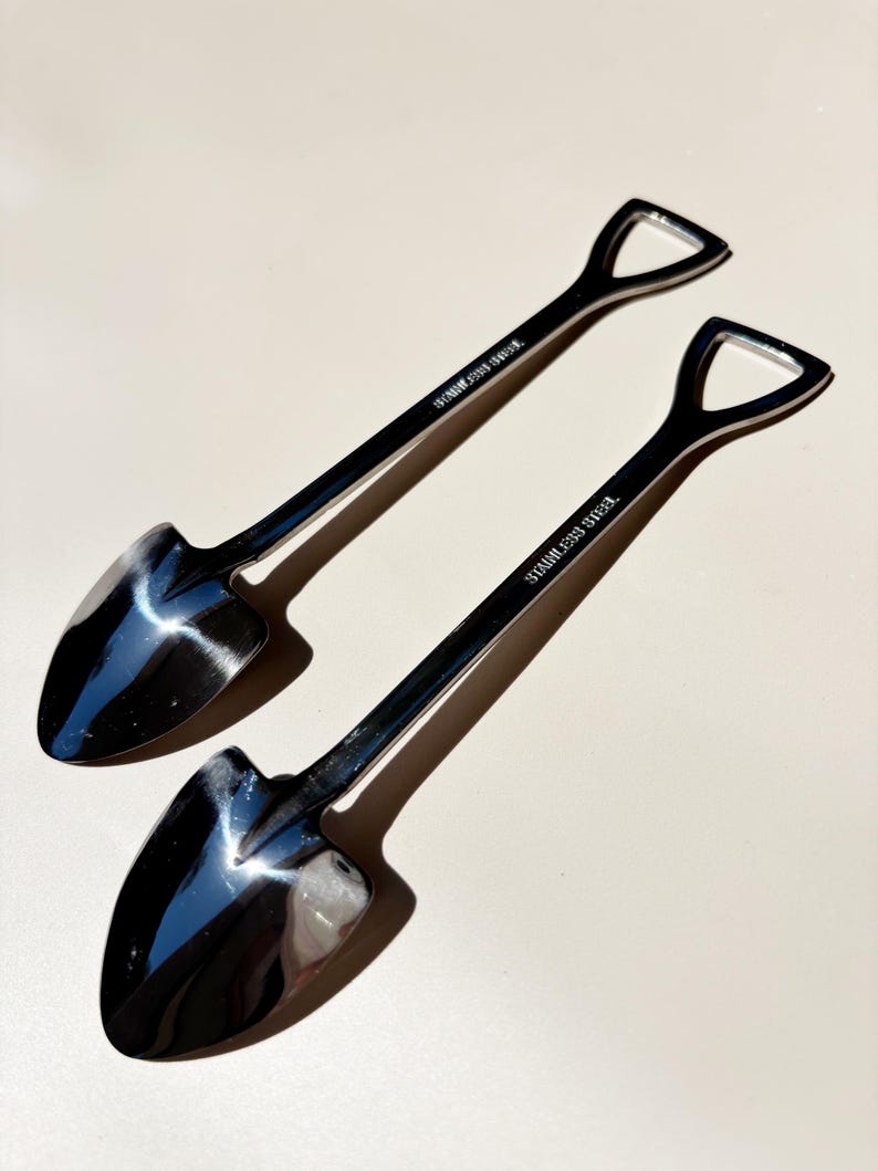 May include: Two silver-colored metal spoons shaped like miniature shovels. Each spoon features a pointed bowl, a long handle, and a triangular grip at the end. The text STAINLESS STEEL is clearly engraved on the handle of each individual spoon.