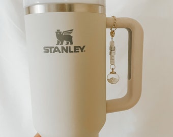  AIERSA Water Bottle Charm for Stanely/Simple Modern 40 oz 30oz  Tumbler with Handle, Zodiac Identifier for Stanley Cup Accessories, 14K  Gold Plated, Pisces : Sports & Outdoors