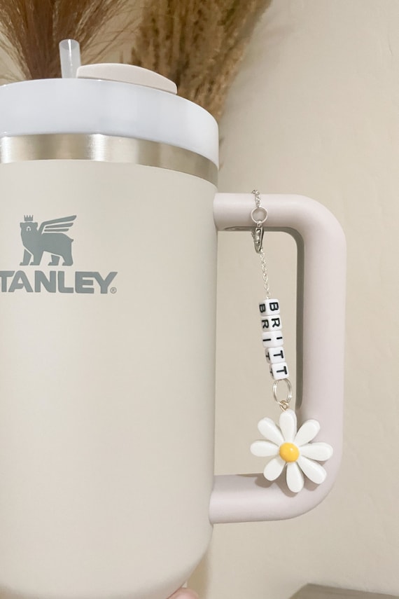 Stanley Tumbler Charm Stanley Accessory Water Bottle Charm Cup Charm Stanley  Cup Charm Tumbler Handle Charm Drink Accessory Stanley Keychain 