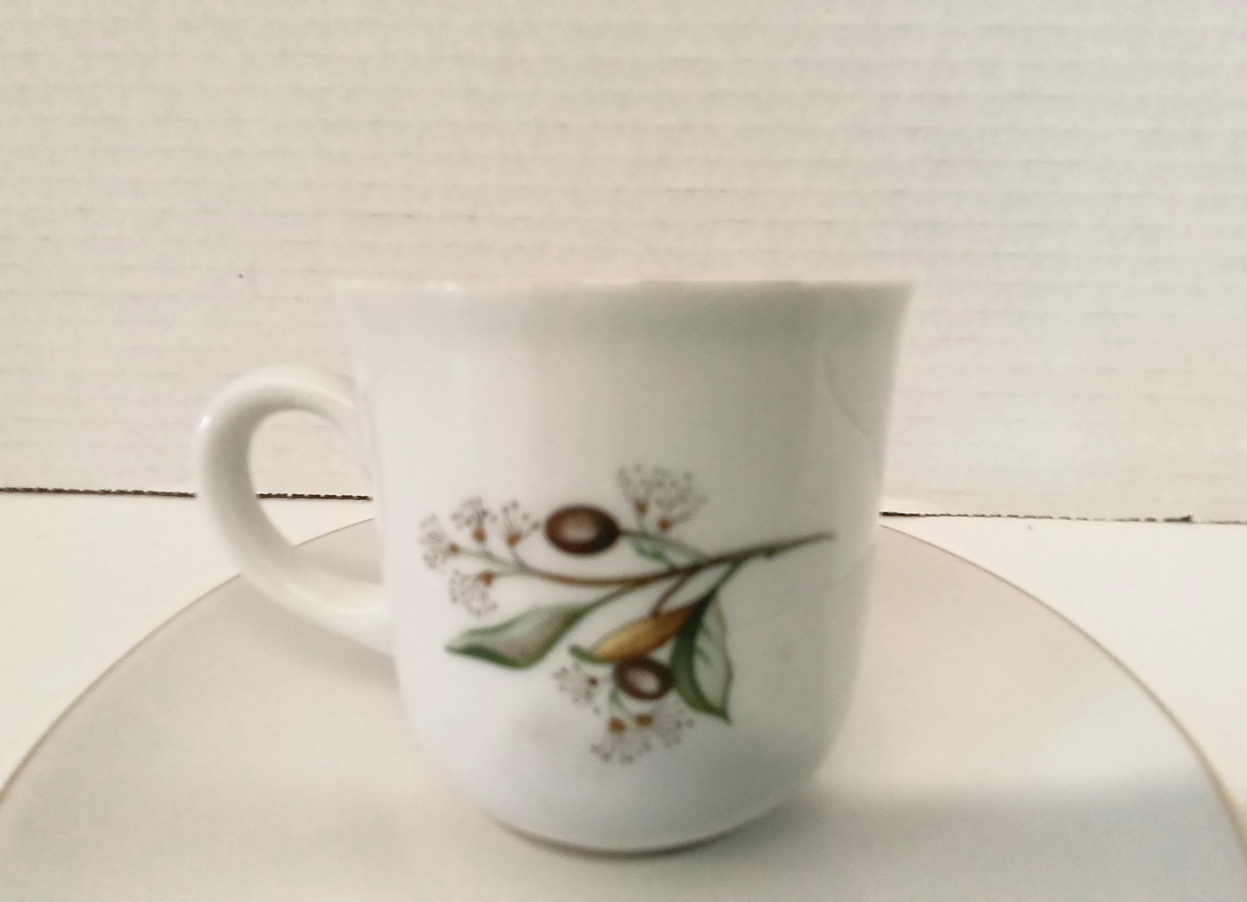 Red Cardinal Demitasse Cup and Saucer by Bavaria Schumann Arzberg ...