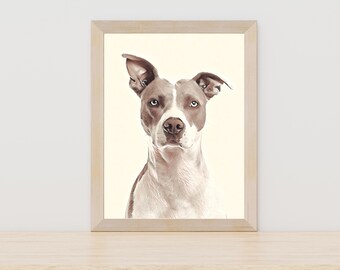 Puede incluir: Una ilustración enmarcada de un perro pit bull marrón y blanco mirando directamente a la cámara. El perro tiene una expresión seria y sus orejas están levantadas.