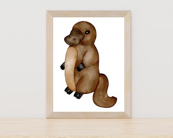 Platypus illustration