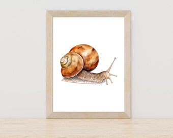 Snail watercolor painting