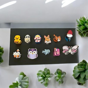 May include: A collection of colorful, decorative magnets featuring various designs, including an owl, a butterfly, a camera, and several animal characters. The magnets are arranged on a dark gray surface, surrounded by green succulents.