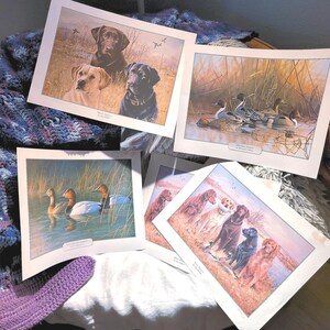 Cinque stampe Illustrazioni di anatre e cani 11,5" x 8,5" di Jim Hautman Richard Clifton Afternoon Pintails First Light Canvasback Jim Killen 1970
