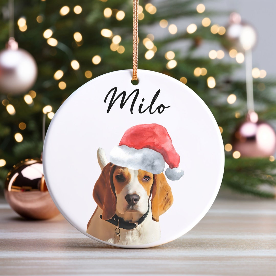 Personalized Pet Ornament Using Pet's Photo Name Custom Ornament ...