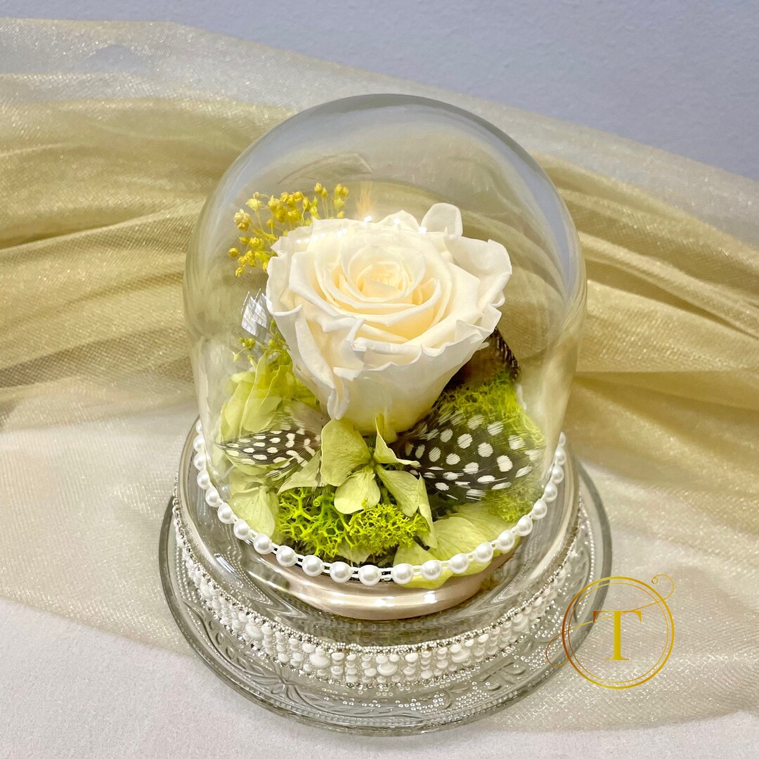 Eternal White Rose Under Glass Dome Forever Flowers Wedding Etsy