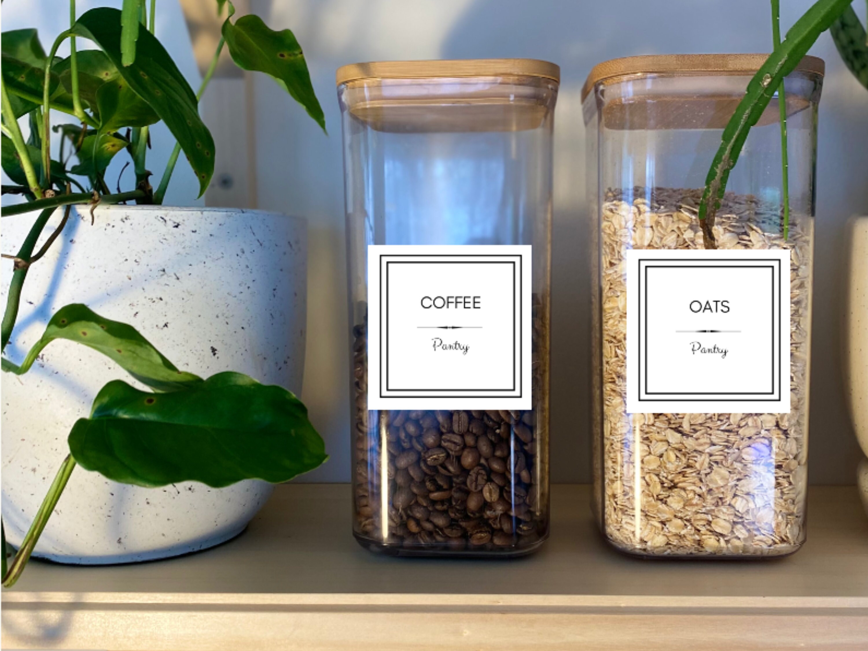 Pantry Jar Labels. 12 Pantry Container Labels. Spice and Etsy