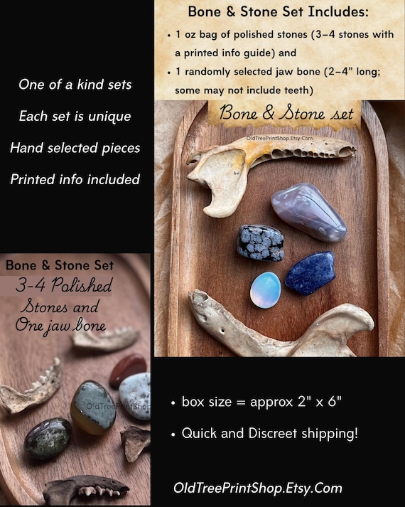 A curated surprise kit of bones, stones, and weird natural curios — 38 favorites confirm this scratches the itch for the witchy friend who has everything.