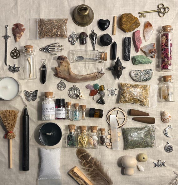 Animal Bone Oddities Curio Box – Gothic Decor Mystery Assortment for Shelf Display - Witch Shop Curated Trinkets