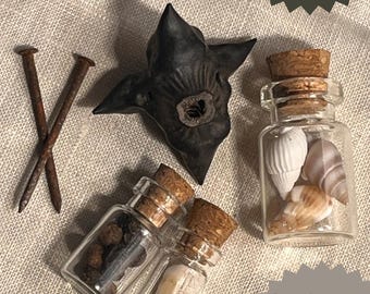 natural curiosities - Something strange for witchy people who like curios and oddities - bone mystery gift