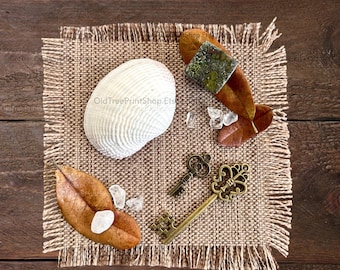 sea witch - starter kit and altar decor for beginner witches - cute witchy gifts for her / him