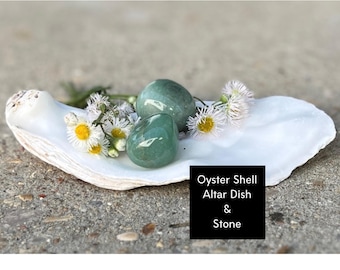 Ancestor altar seashell oyster shell dish sea shell trinket box - Beautiful altar decor gift for a witchy friend