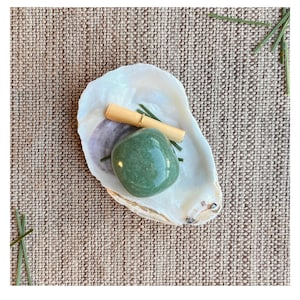 May include: A polished, green gemstone rests in a white oyster shell, accompanied by a small scroll and sprigs of green. The shell sits on a textured, tan surface, creating a natural and serene composition. The gemstone is smooth and reflective.