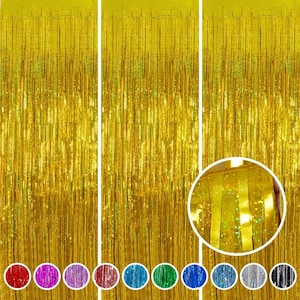 Foil Fringe Backdrop: Party Tinsel Curtain, Photo Booth Prop (3.2 ft x 8.2 ft)