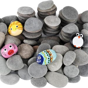 Puede incluir: Una colección de piedras de río grises y lisas mezcladas con cuatro piedras decorativas pintadas. Las piedras pintadas muestran un sol amarillo, una cara de cerdo rosa, un pez azul con patrones y un pingüino en blanco y negro entre las piedras.