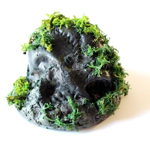 jungle terrain featuring decaying skull statues for tabletop roleplaying gaming