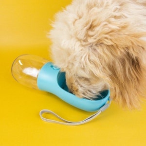 Pu&ograve; includere: Una bottiglia d'acqua portatile per cani di colore blu chiaro con un serbatoio d'acqua trasparente e un cinturino grigio. Un cane sta bevendo dalla bottiglia.