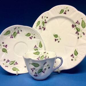 Wonderful Shelley China Campanula Trio