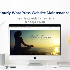 Hourly WordPress Website Maintenance for Small Business, Themes and Plugins Updates, and Site Backups