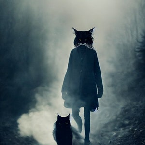 May include: A black cat wearing a coat walks through a foggy forest with another black cat following behind.