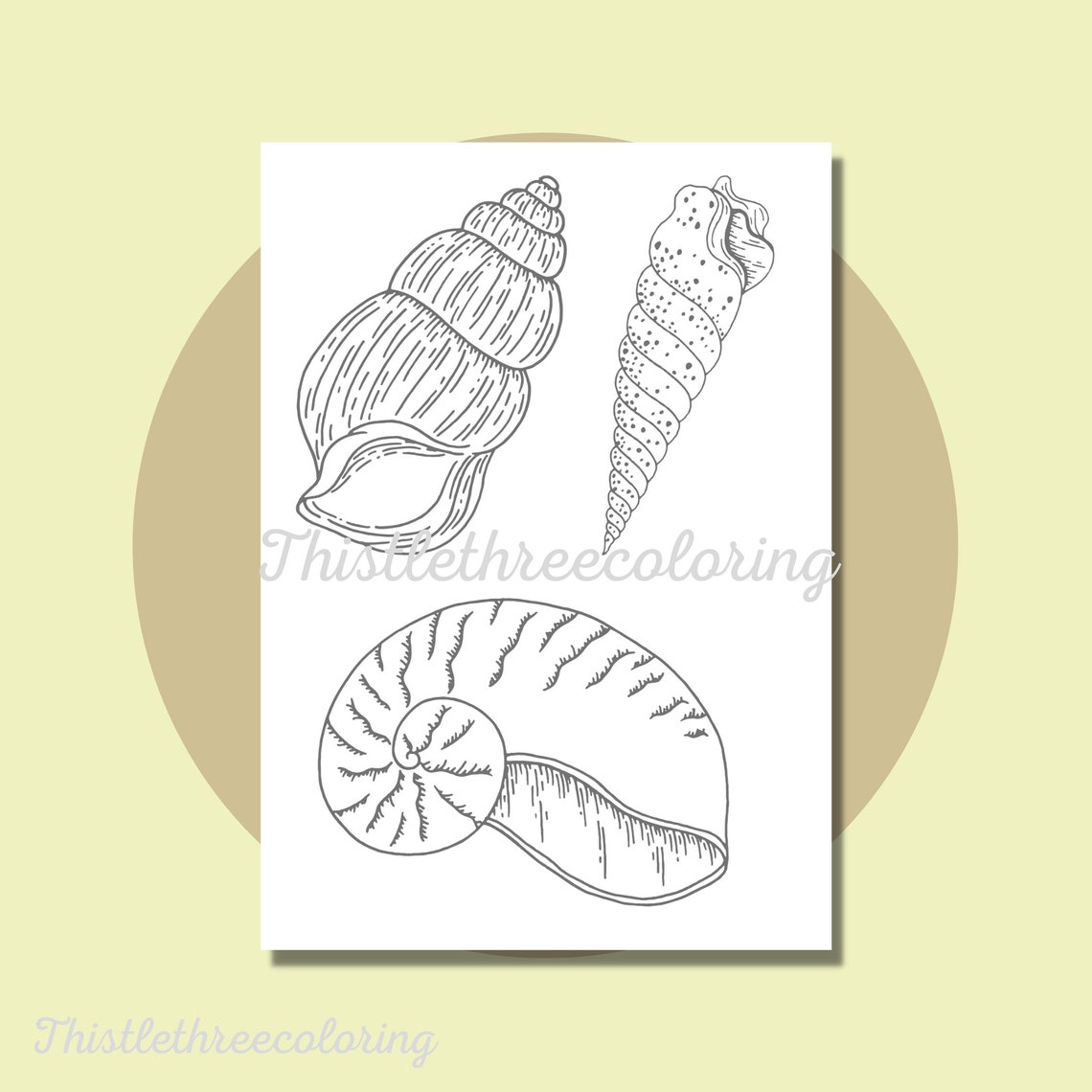 Seashell Coloring Pages Adult Coloring Pages 15 Printable Etsy