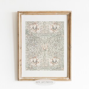Neutral Gallery Wall Art Set of 5, Collection of Vintage French ...