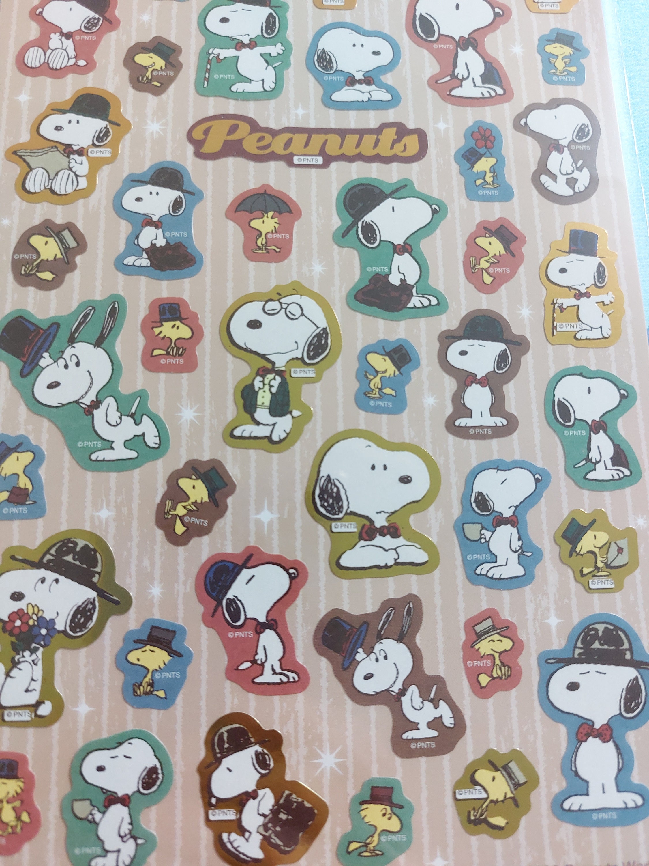 Prep Style Snoopy & Woodstock His Family Decoration Stickers Lucky ...