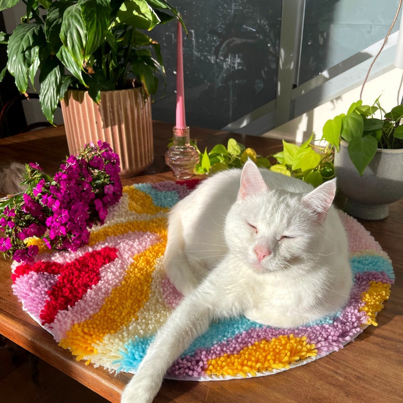 Latch Hook Rug Making Kit DIY Craft Kit Floor Mat Etsy