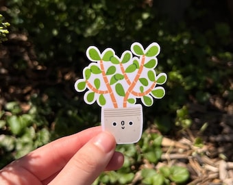 Succulent Sticker | Plant Sticker | Kindle Sticker